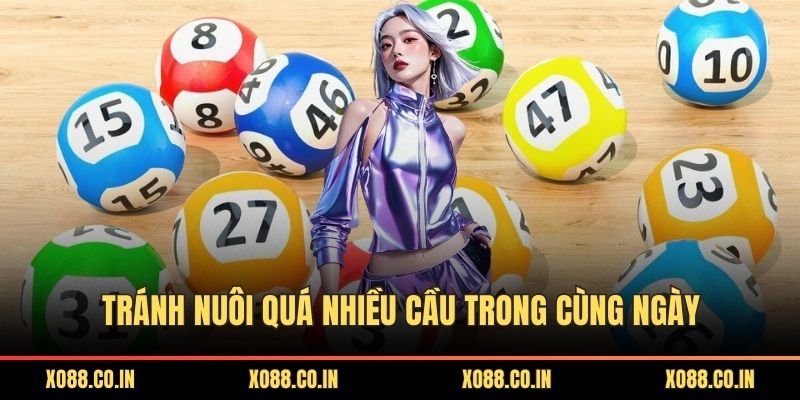 Tránh nuôi quá nhiều cầu trong cùng ngày